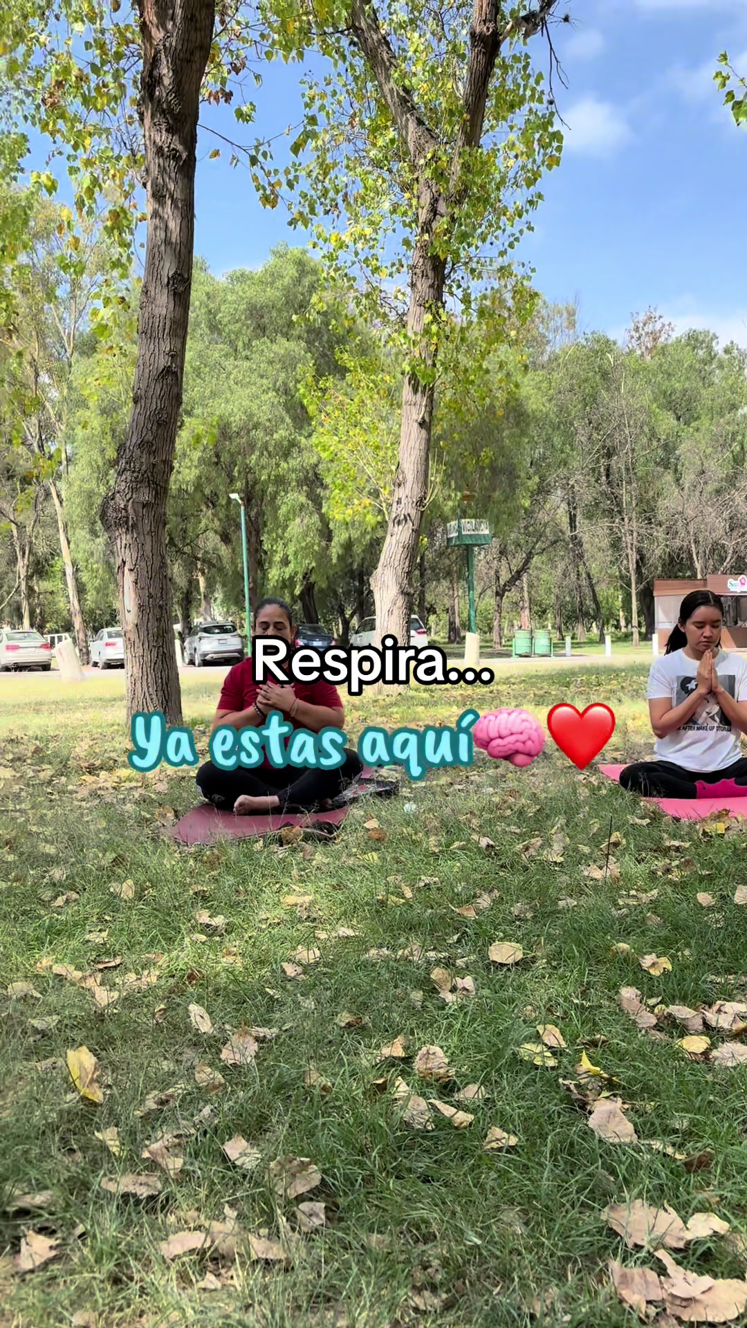 @Almendra De la Mora