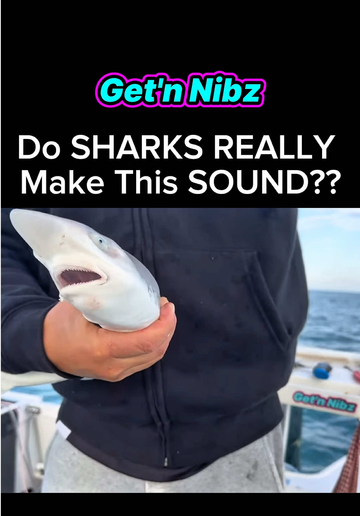 @Get'n Nibz