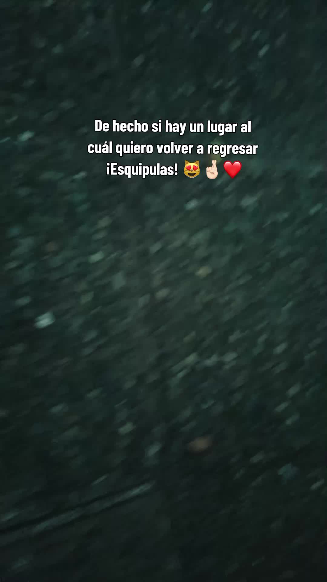 @🍉E🌻