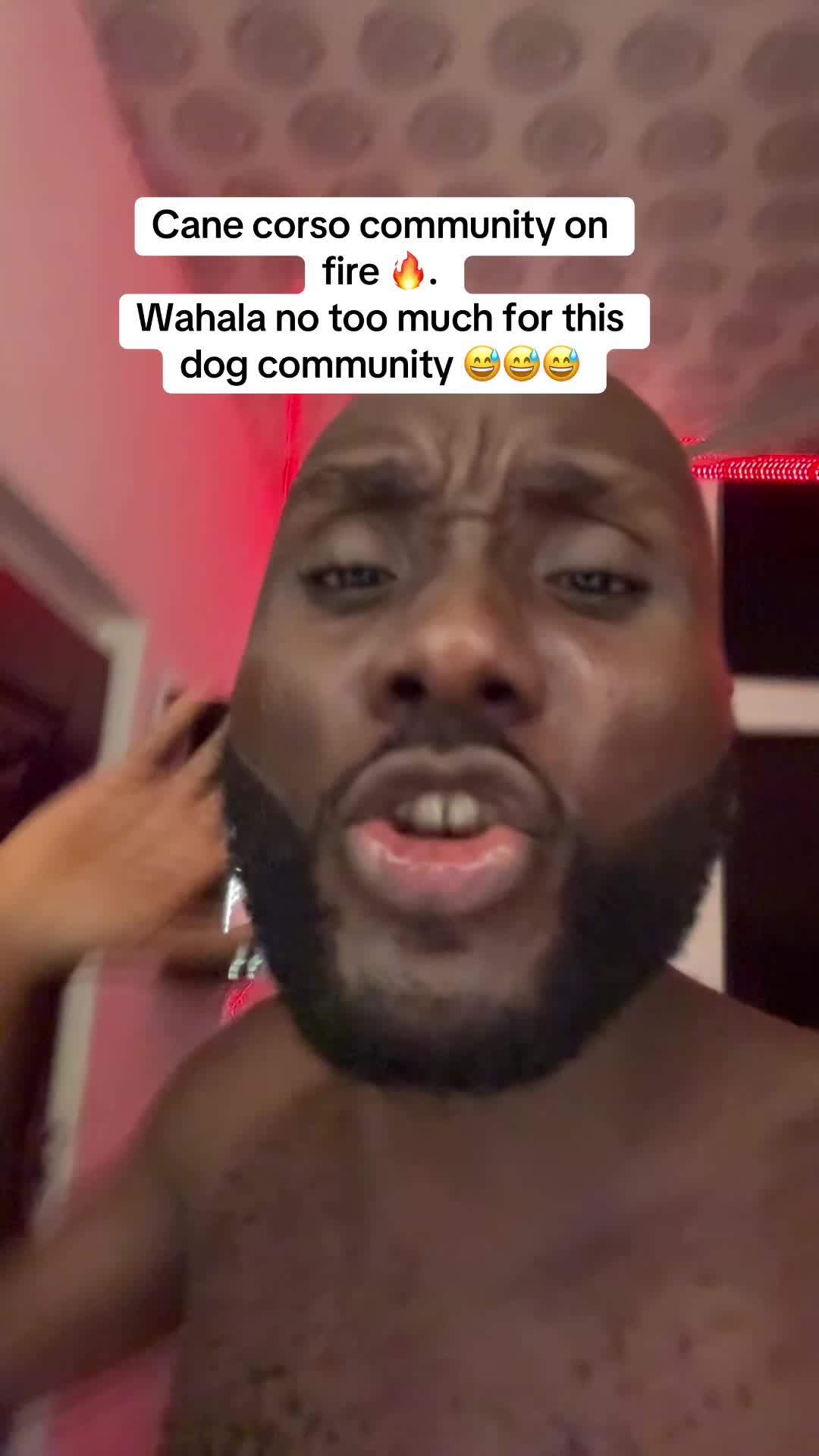 @Mothersheila_DogTv