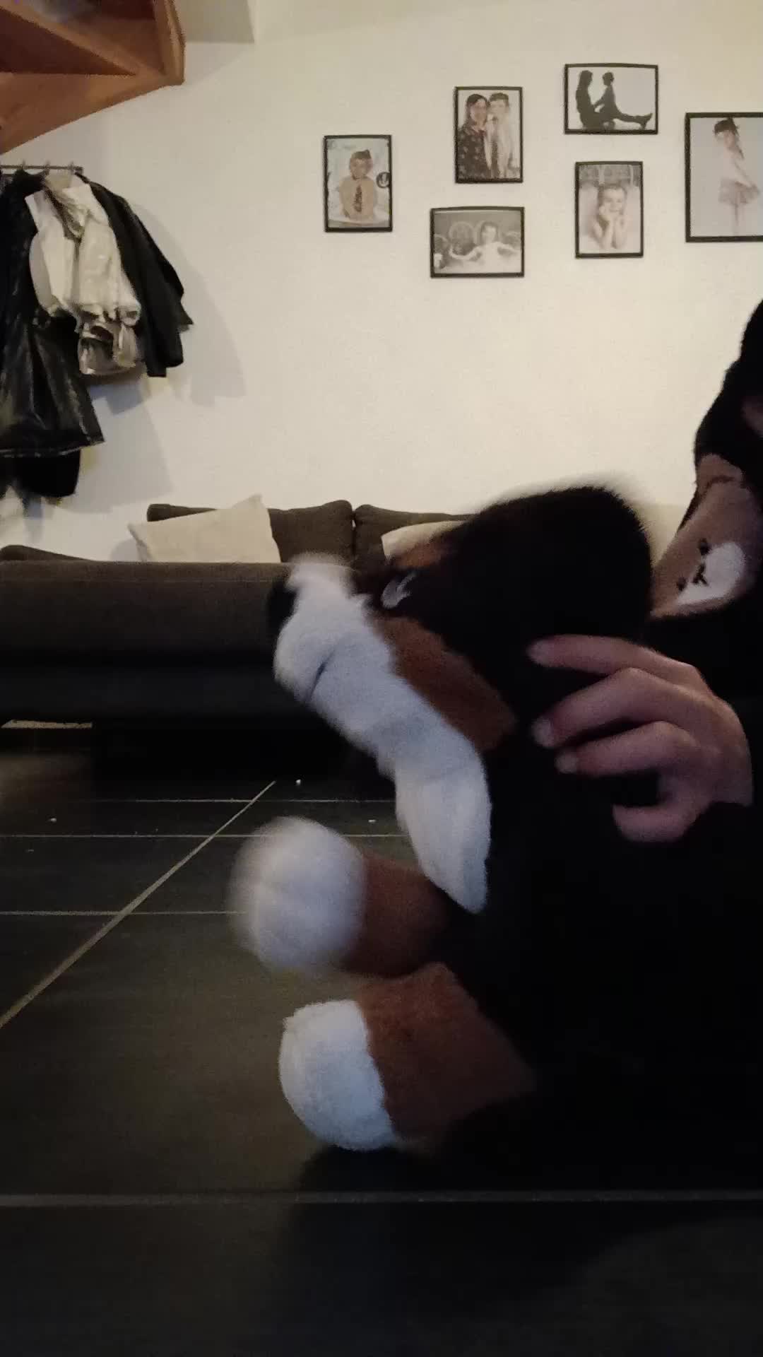 @davi