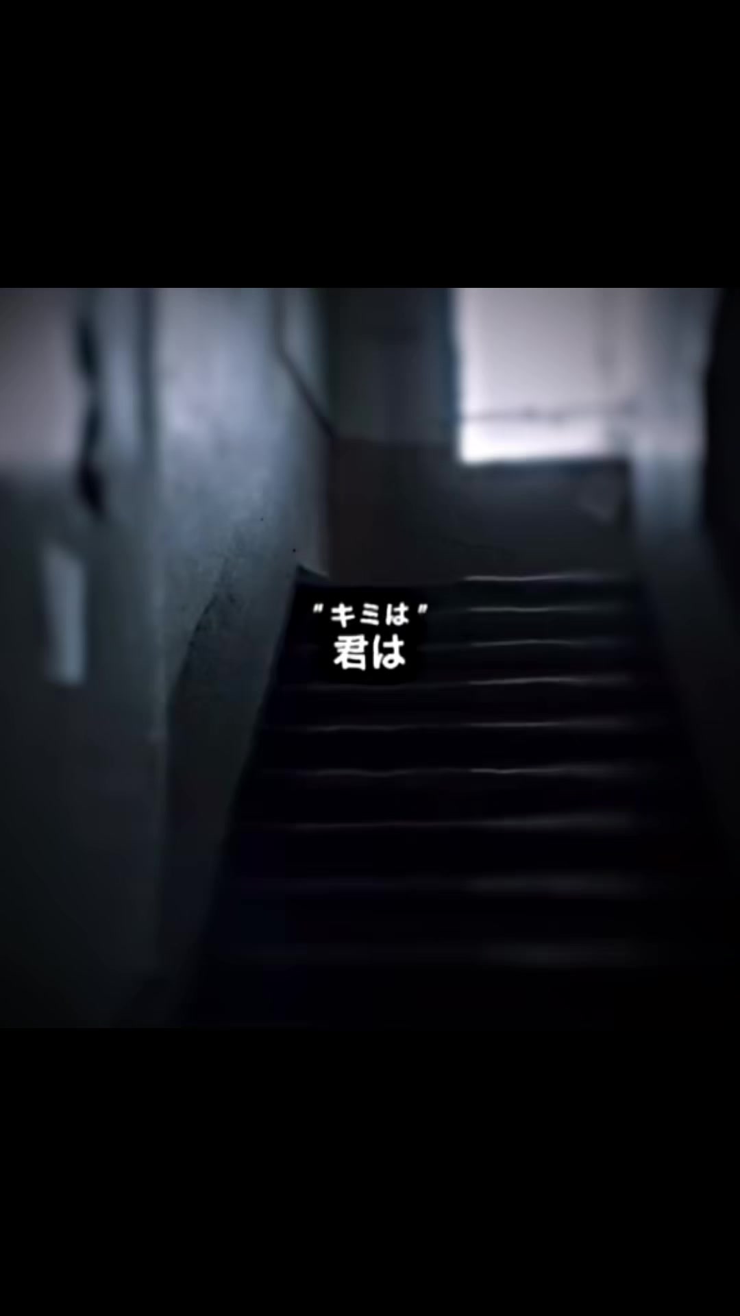 @両生類
