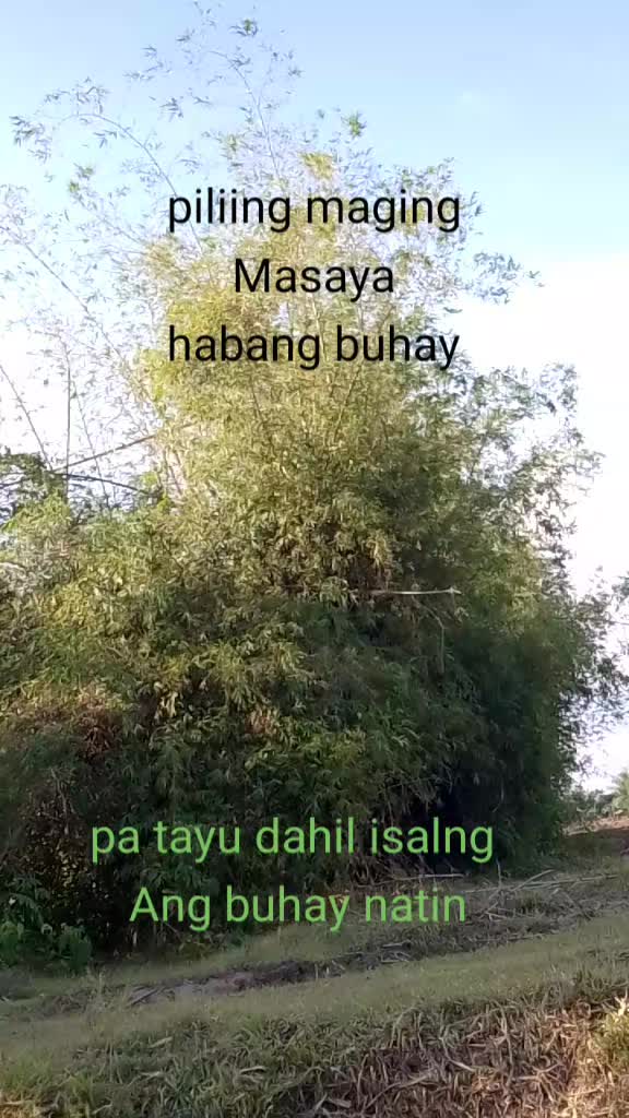 @kidlat Army⚡