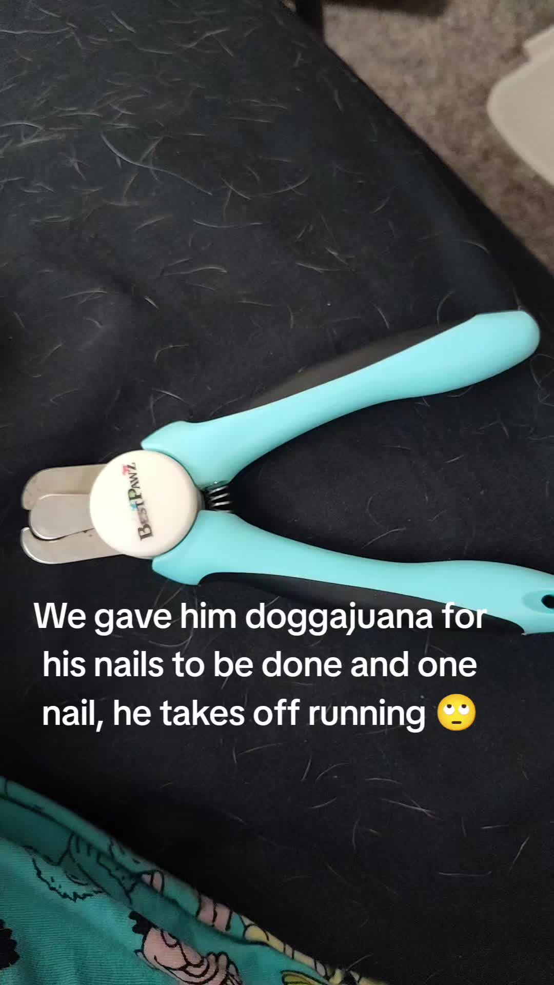 @ProfessionalPITA