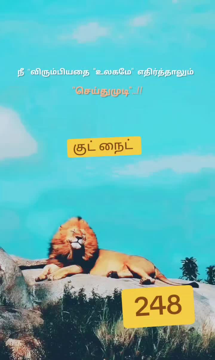 @பேப்பர் ஐடி 248 🌹1