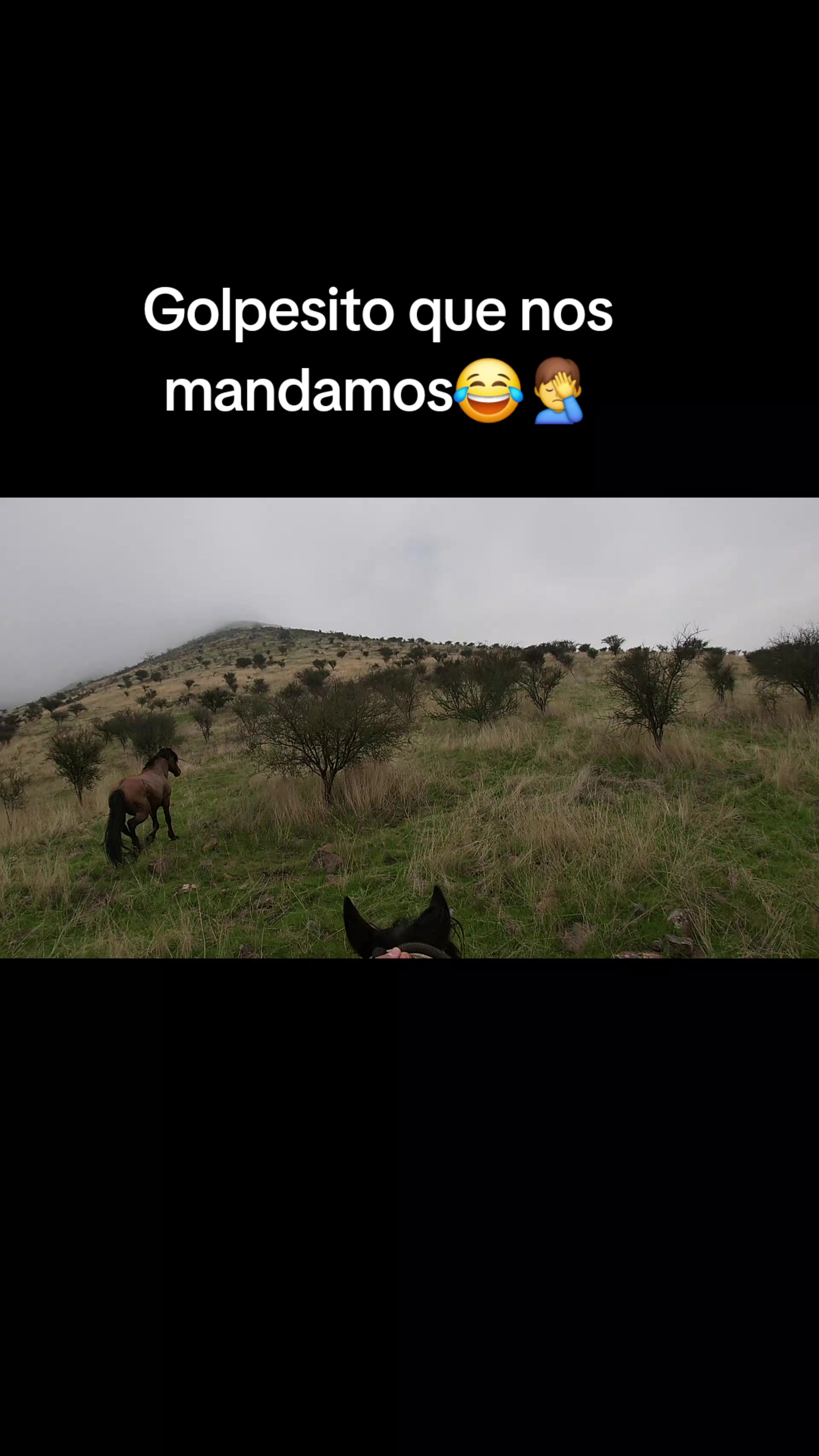 @loko jordan