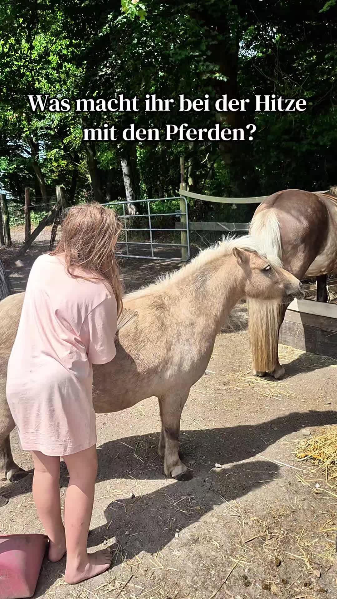 @Another_sunrise_farm
