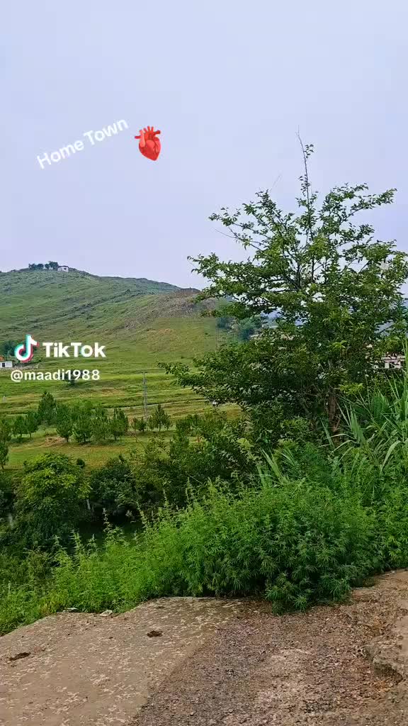 @ibrahim tanoli