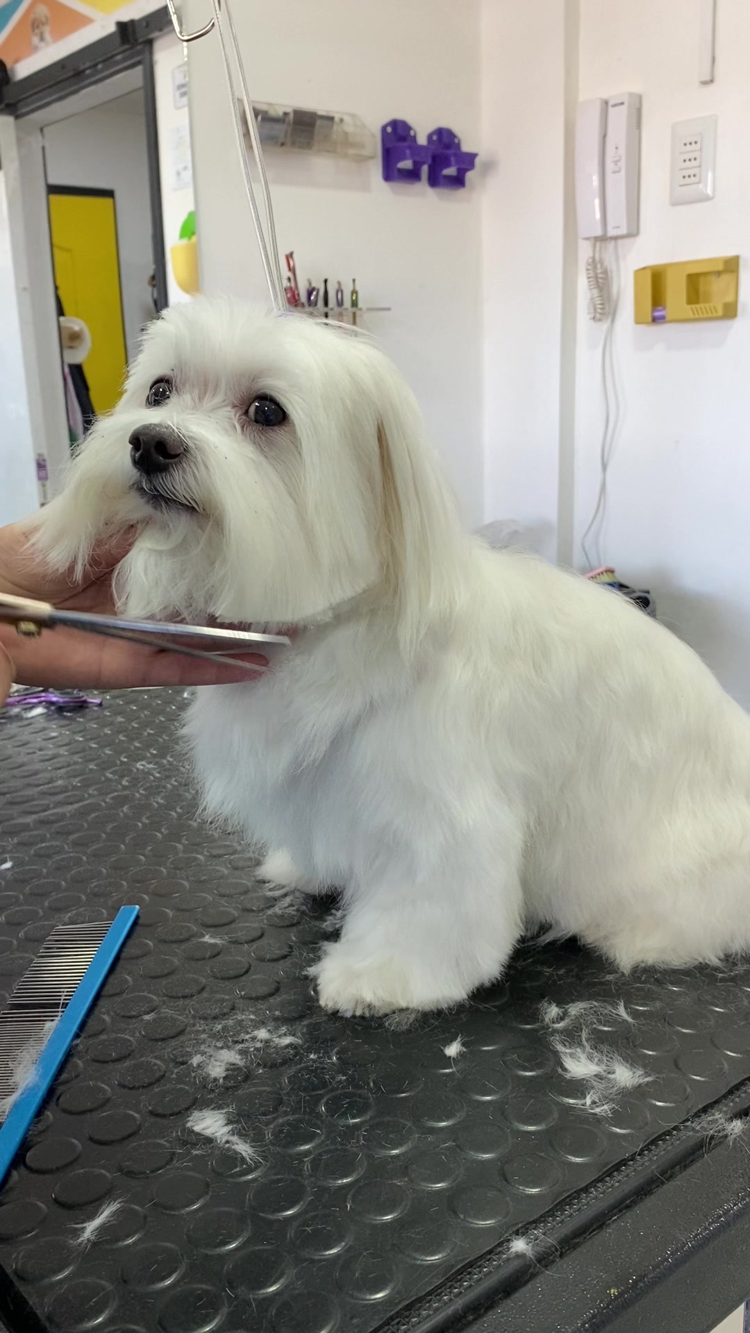 @Gran.kniche🐶