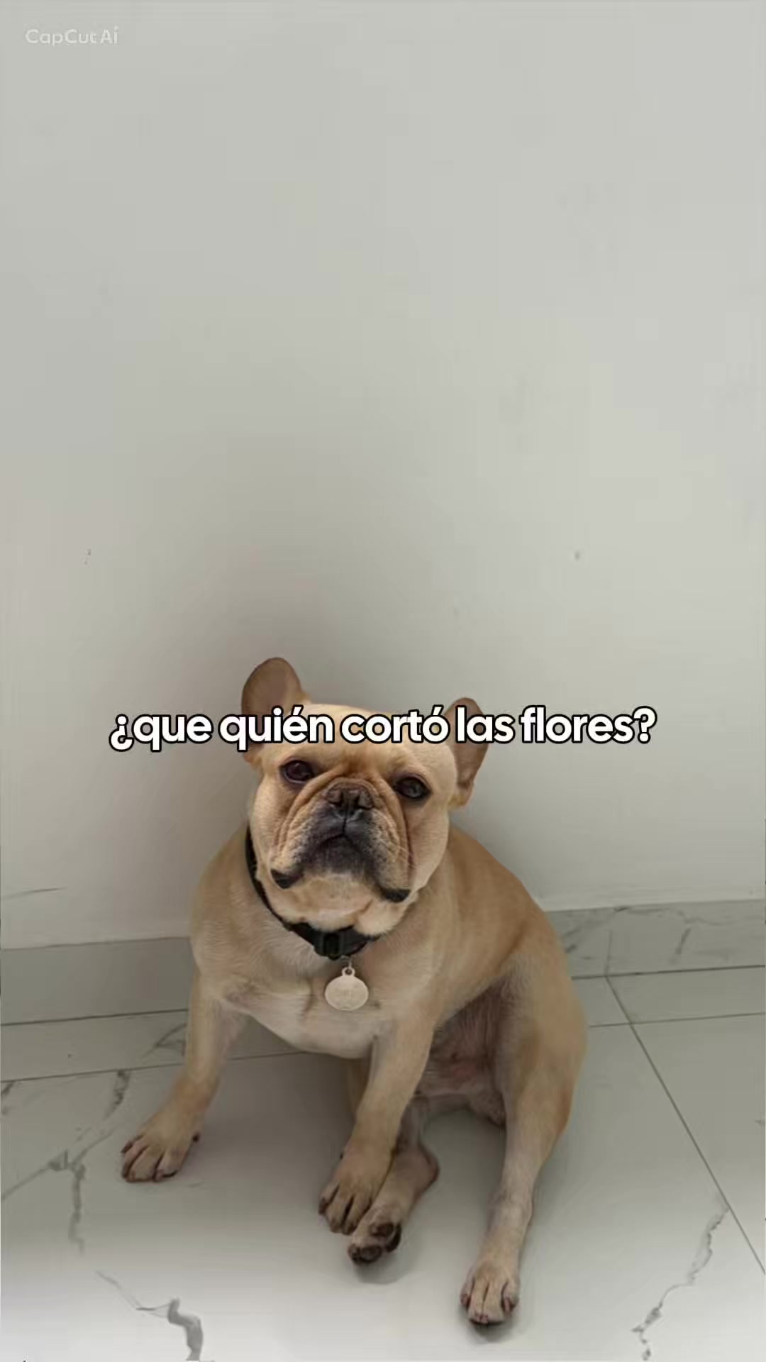 @Elisaag