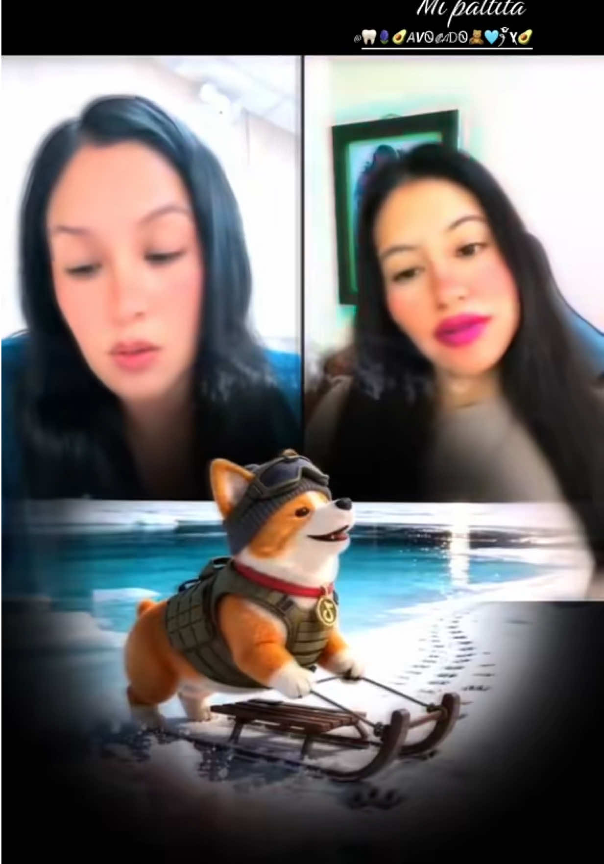 @๐ฆท ๐๐ป๐ช.๐๐พ๐ฎ๐ต๐ฒ๐ฝ๐ช