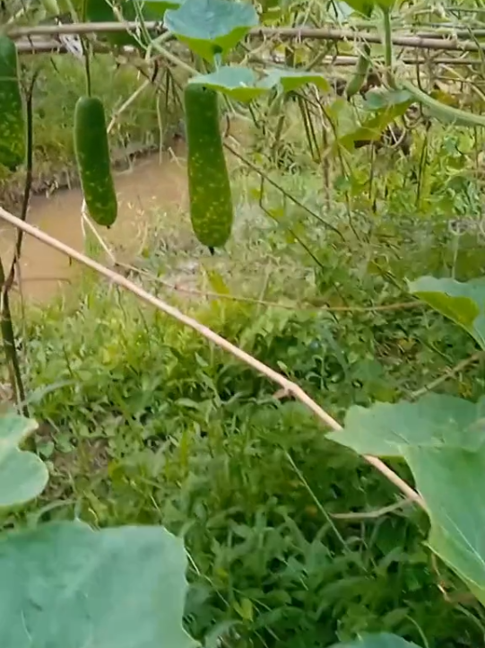 @Nguyễn Văn Hiền