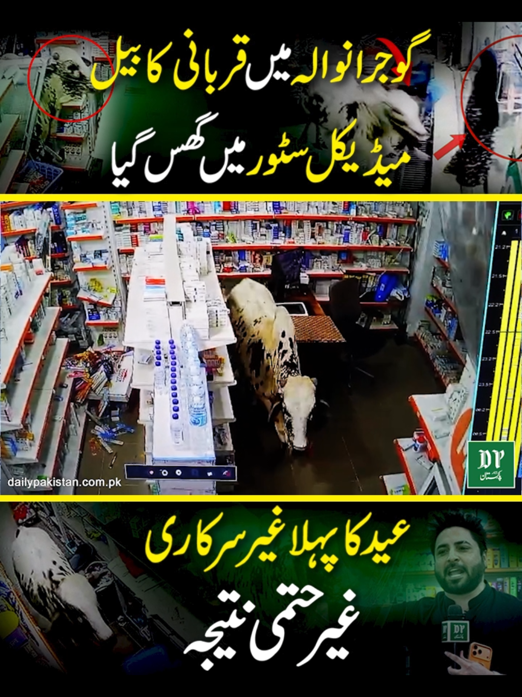 @Daily Pakistan