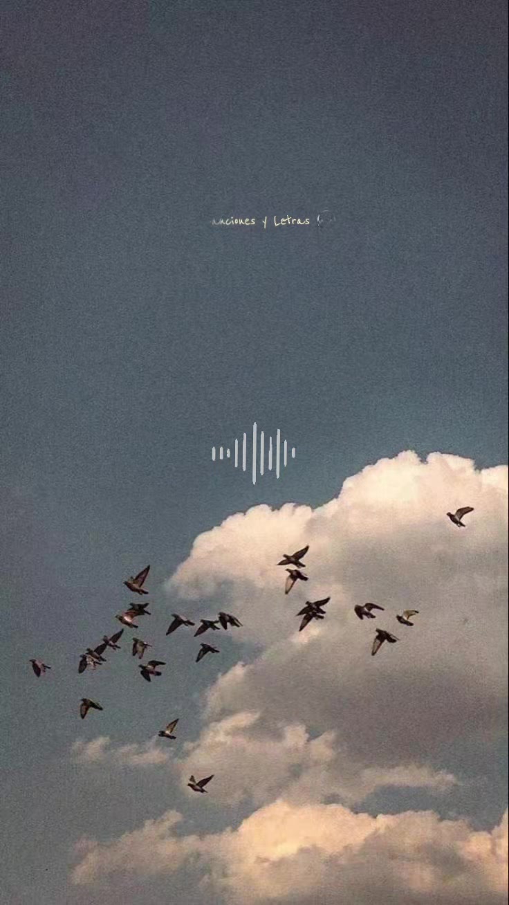 @canciones y letras 🎧