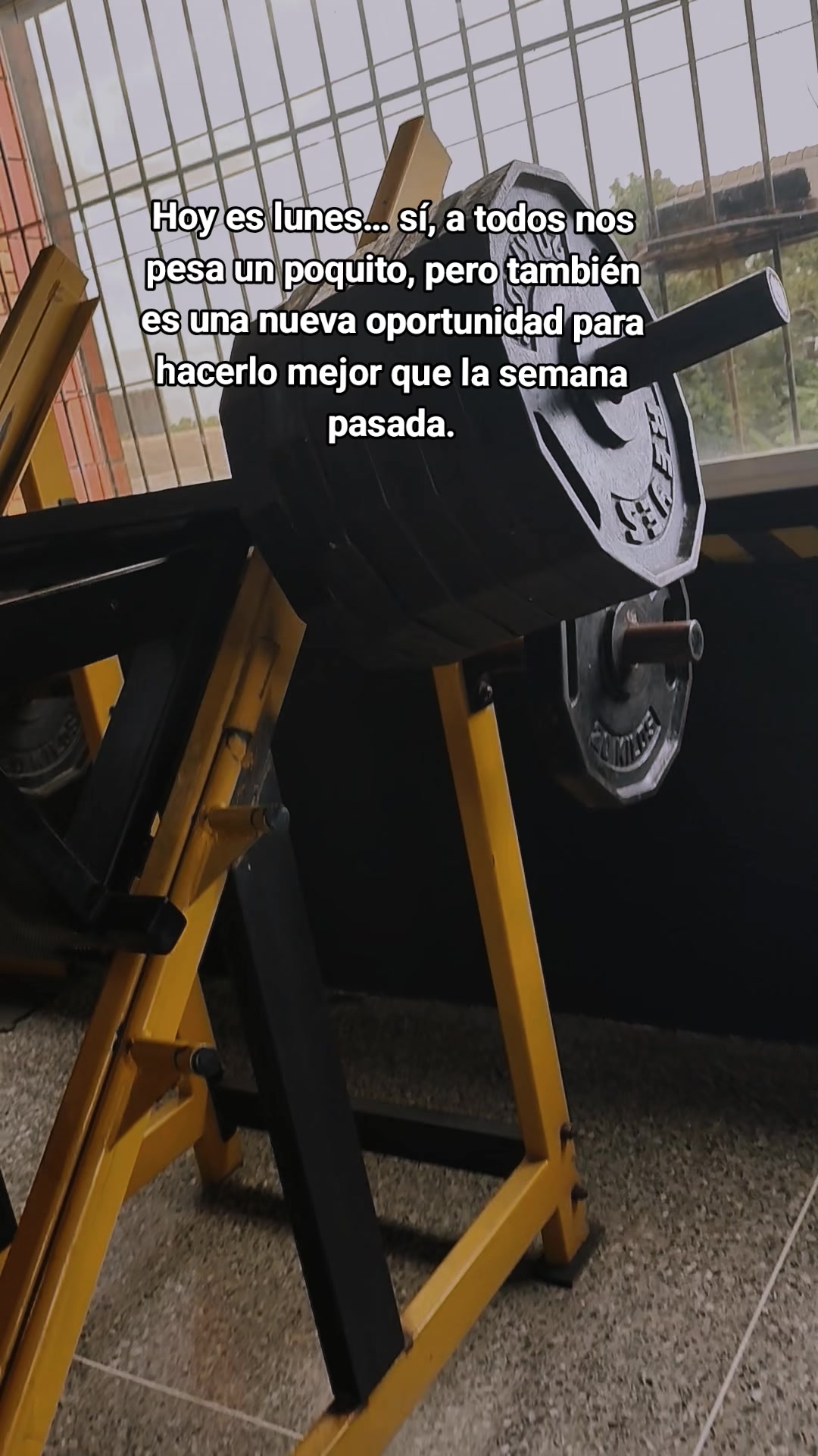 @María Vega🌻🇻🇪