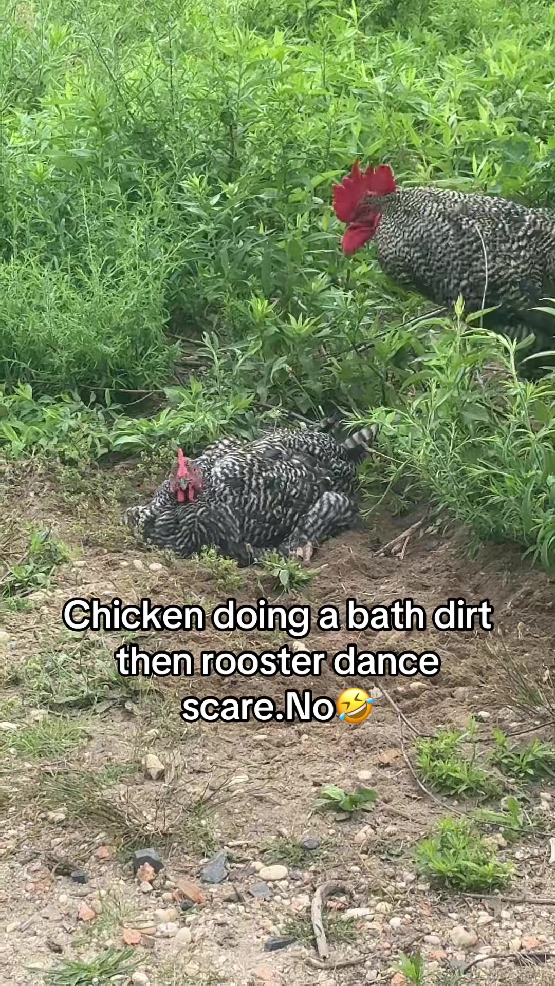 @No