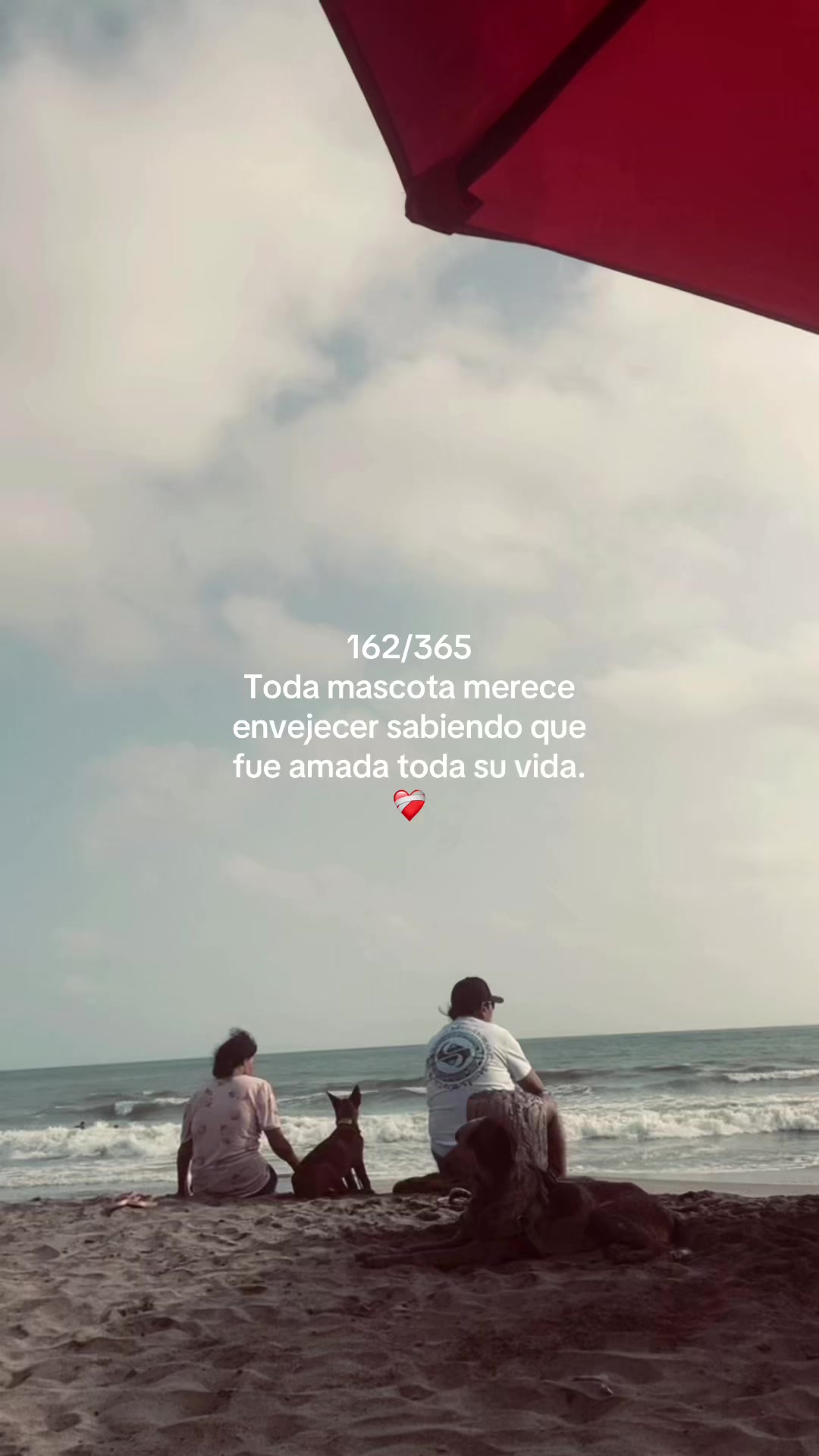 @digotodoloquesiento:(