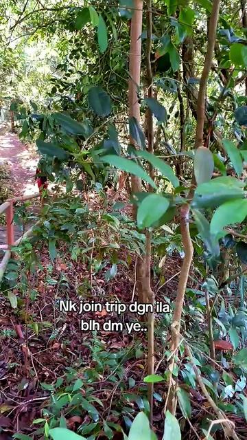 @💌💘Cinta Gunung 💞🕊️
