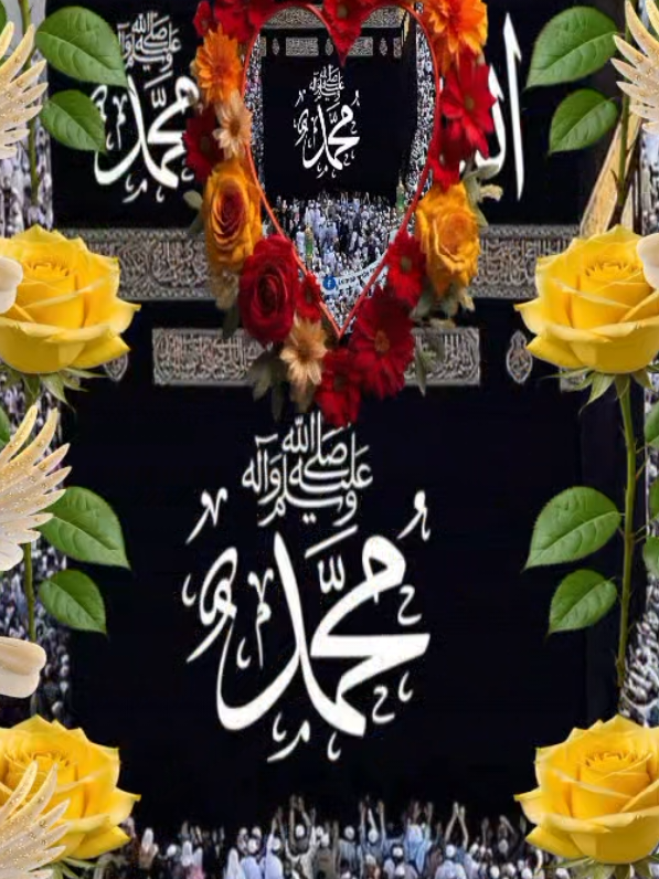 @YASEEN 🌹