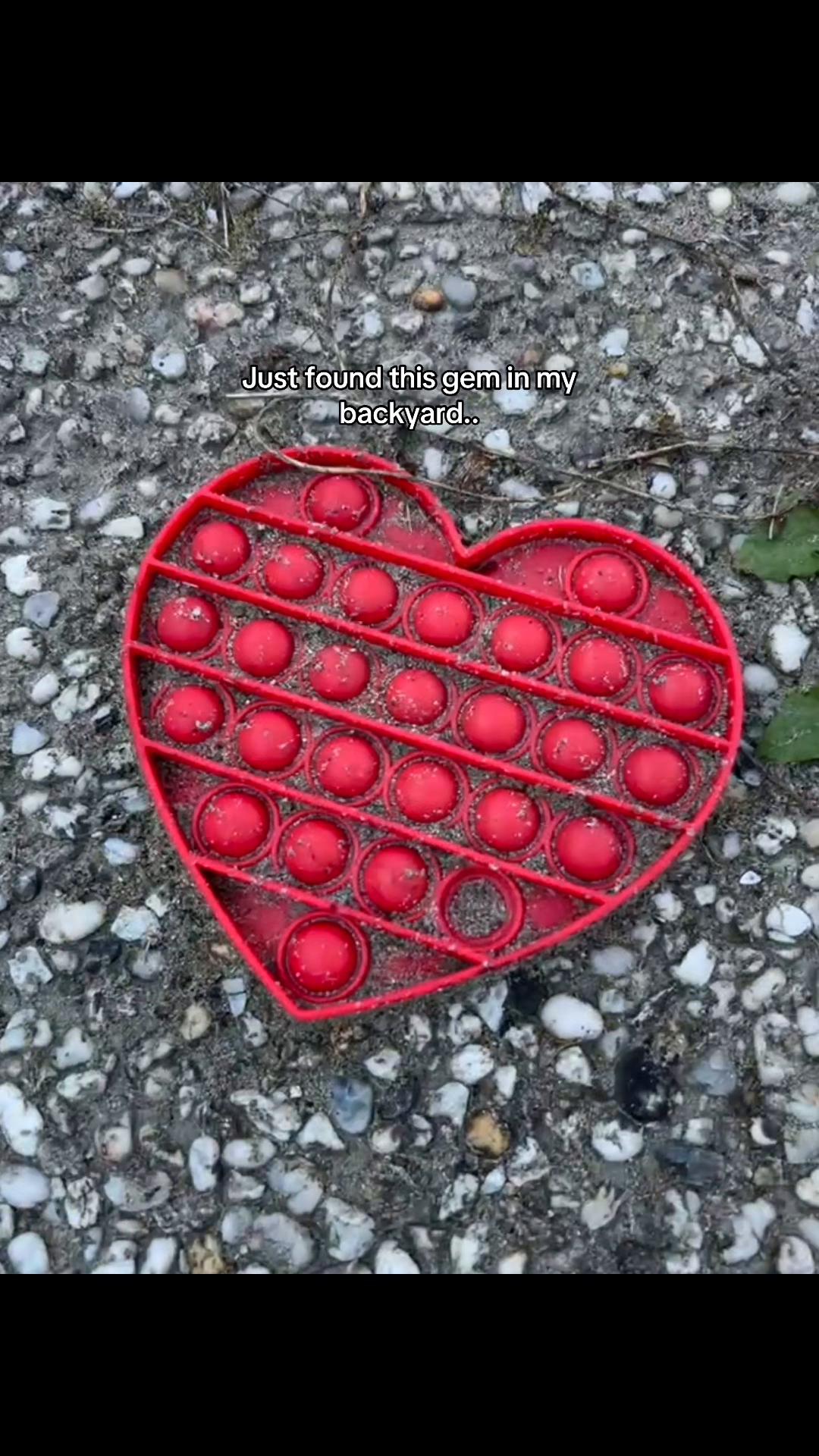 @seifsworld