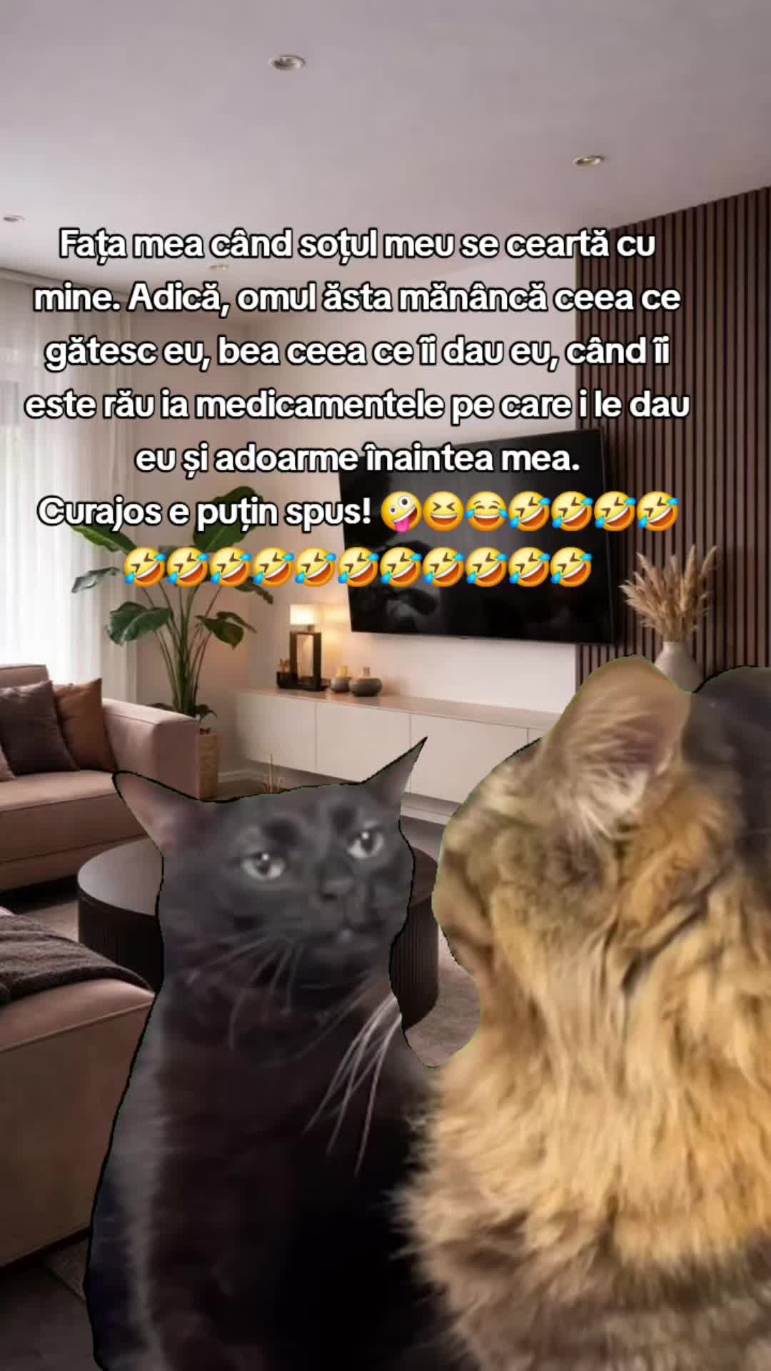 @ank_andreescu867