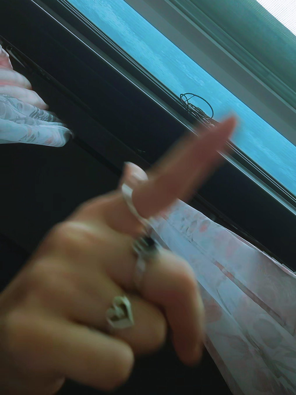 @๐งฟ๐๐ข๐ฬ๐๐๐ ๐๐๐ฃ๐๐๐๐ฅ