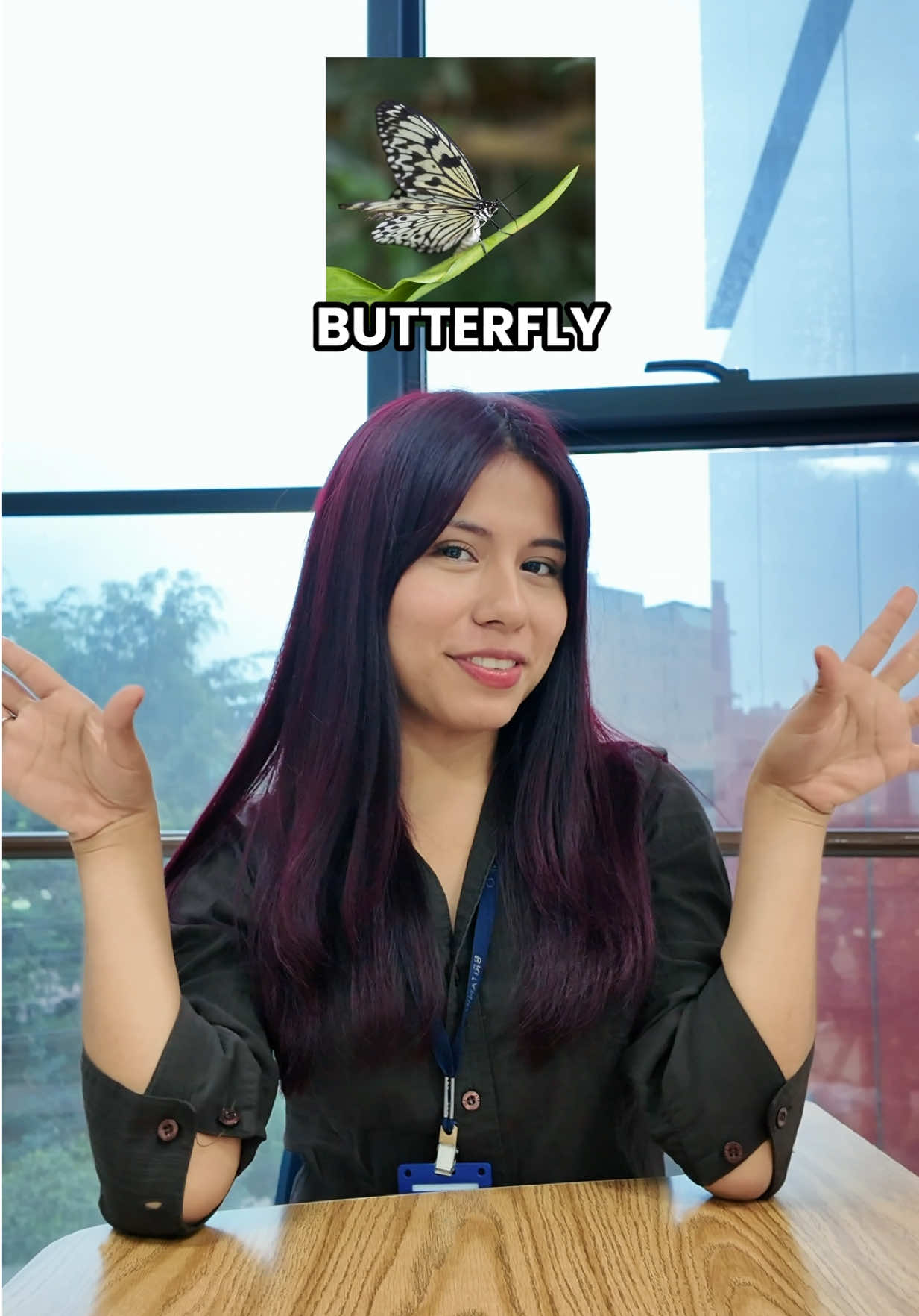 @Británico