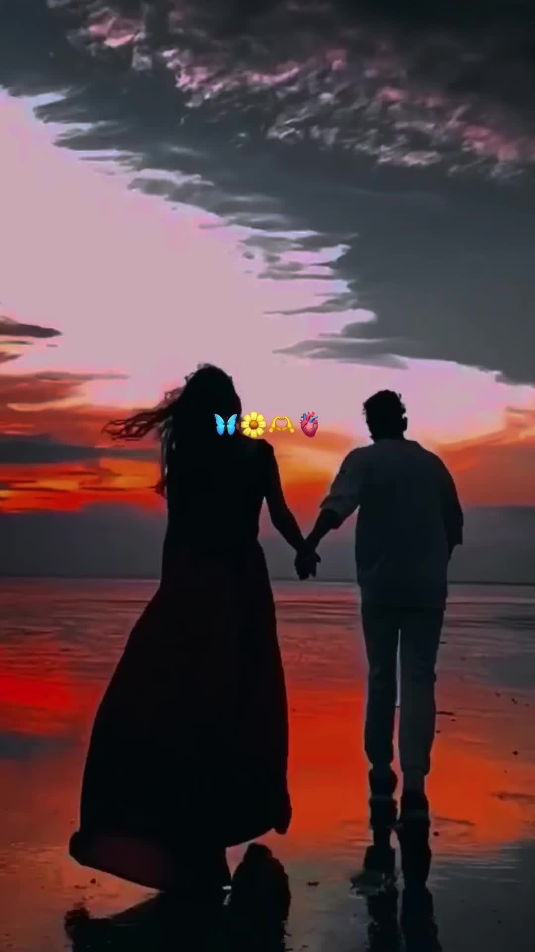 @alifbey🕊️
