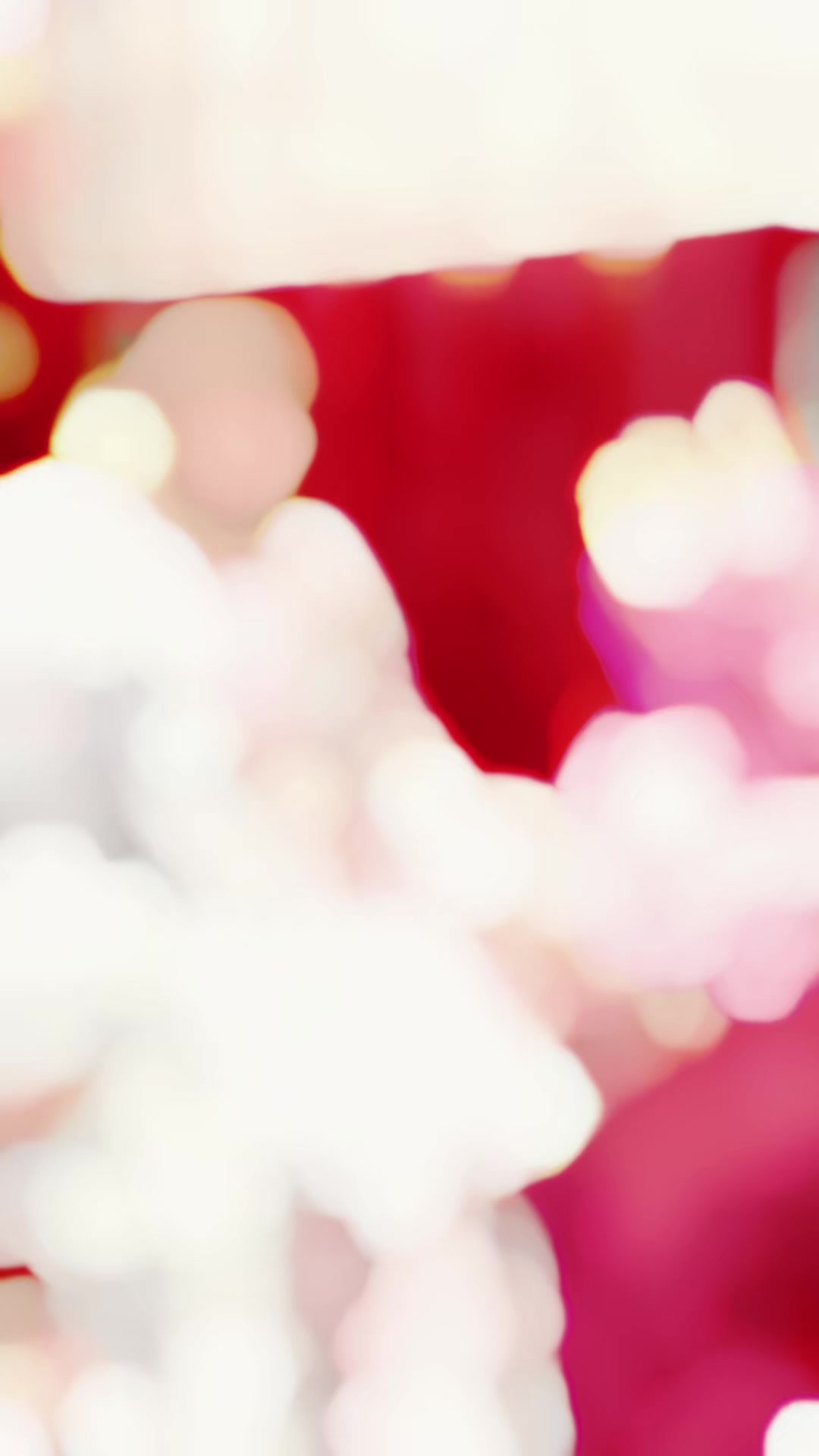 @꧁✿Miss..P𝚊𝚛𝚒✿꧂