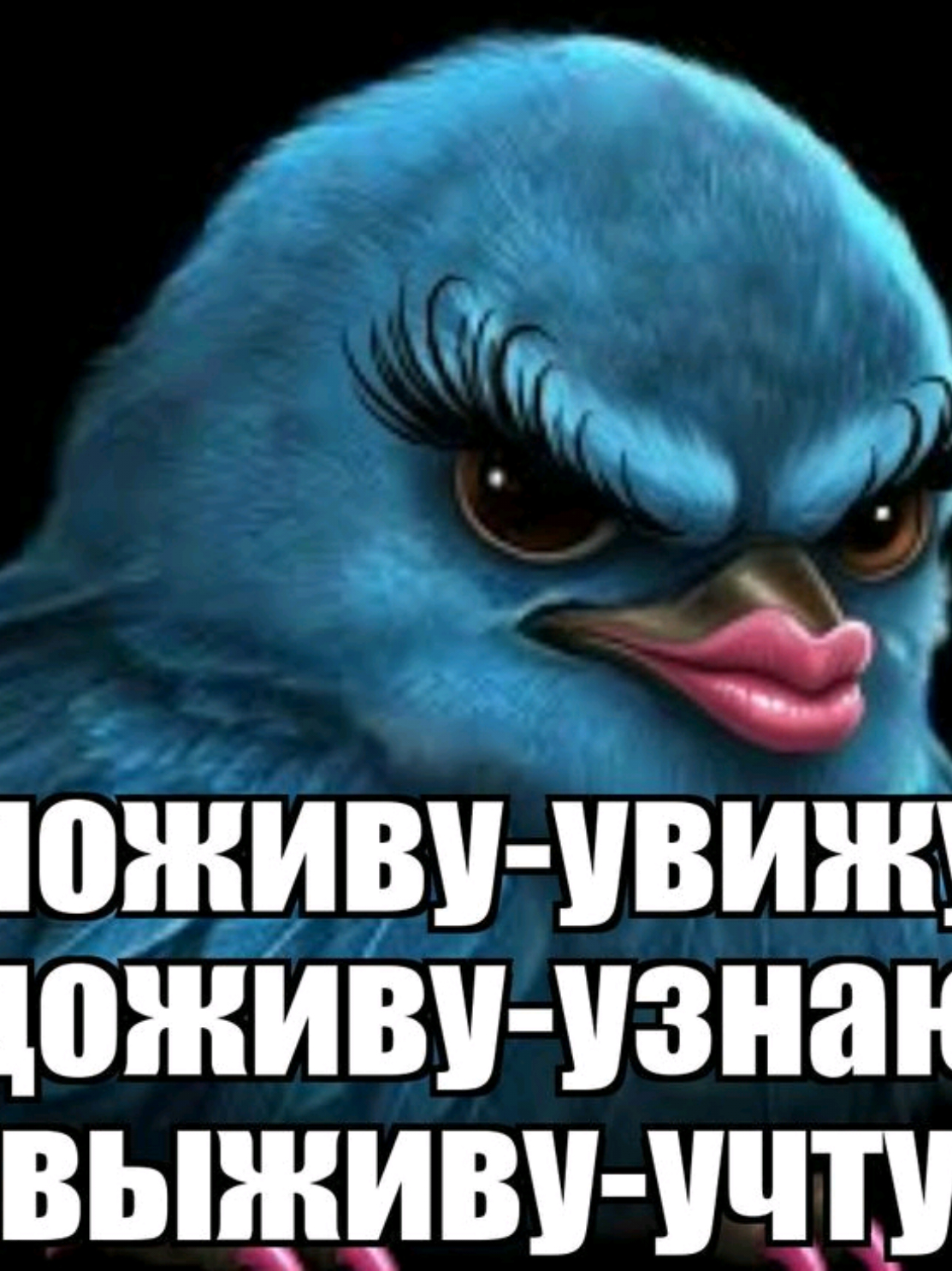@V