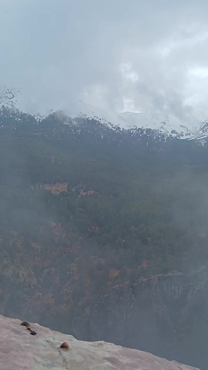 @Deniz Çezik