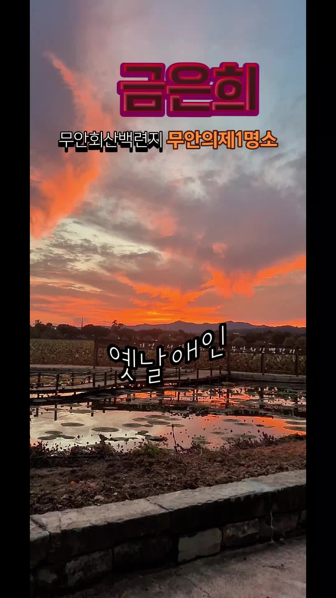 @금은희
