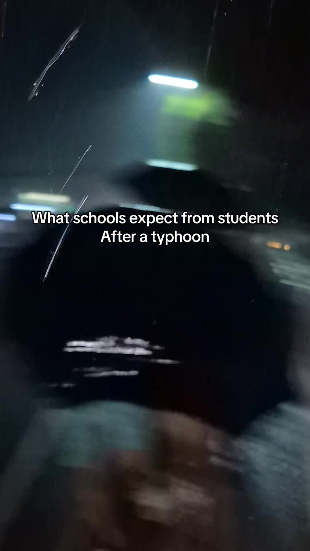 @fmbags