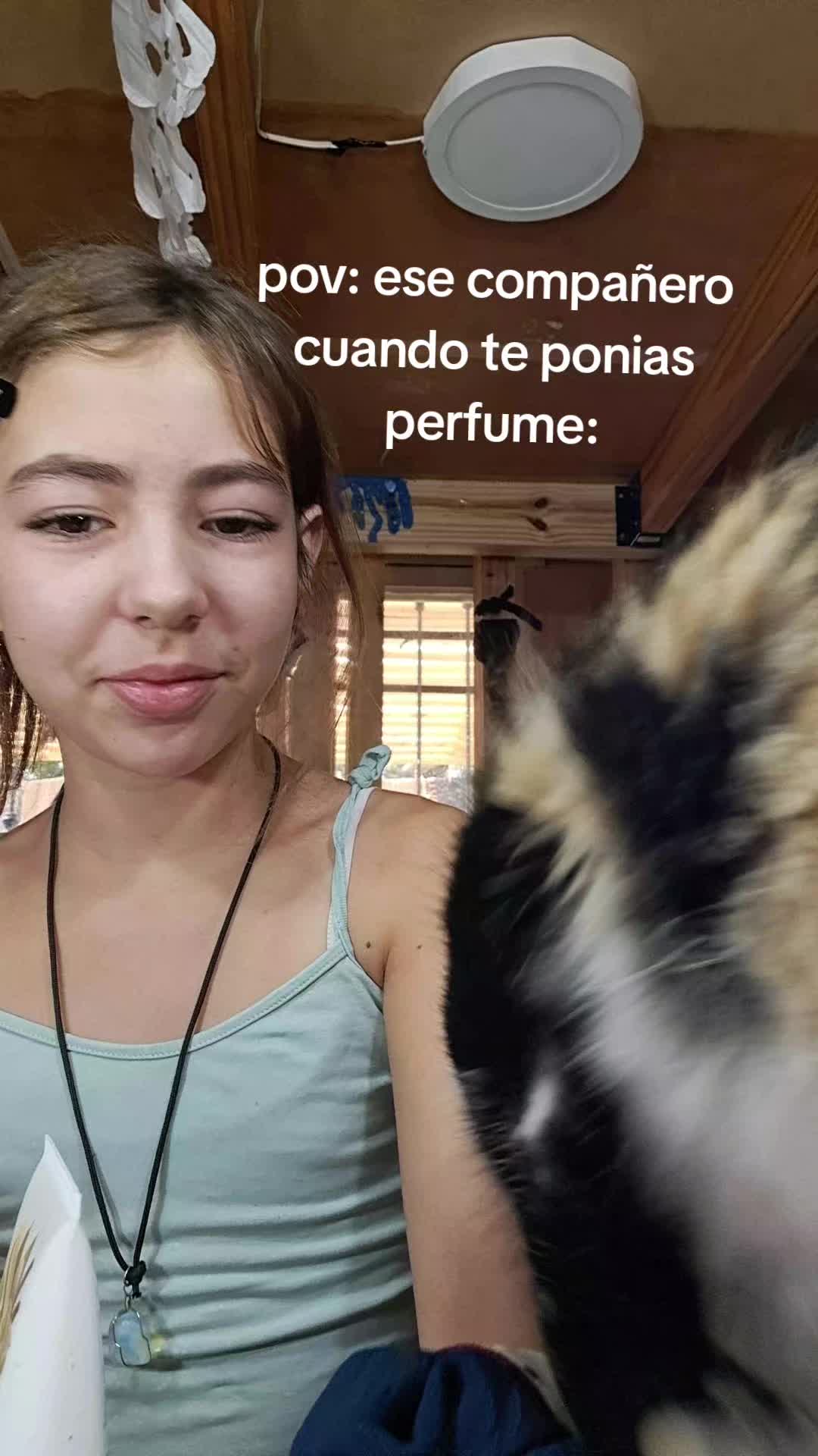 @𝘱𝘢𝘯𝘲𝘶𝘦𝘲𝘶𝘦