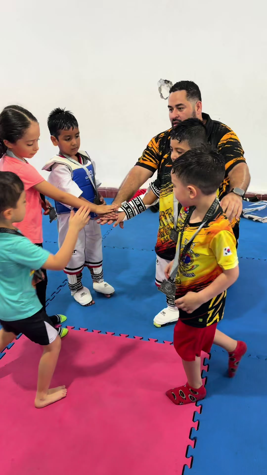 @taekwondolionsteam
