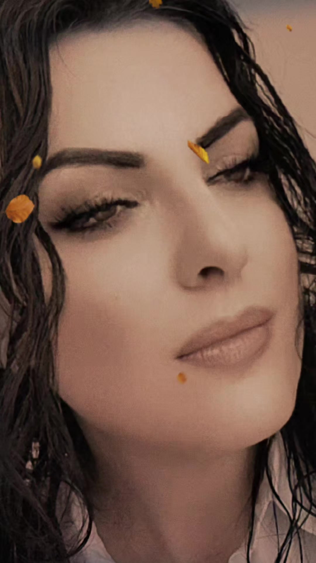 @Nihall264