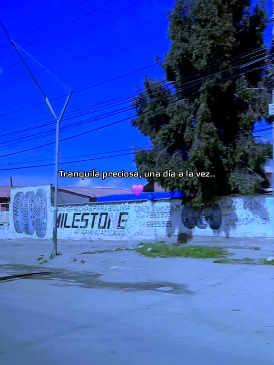 @Adriel Eduardo Gutierrez