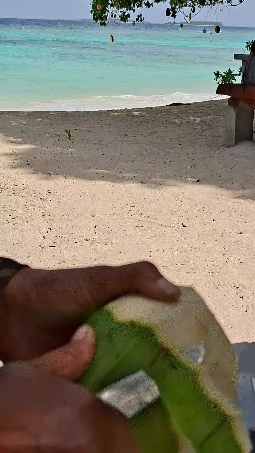 @Aroo