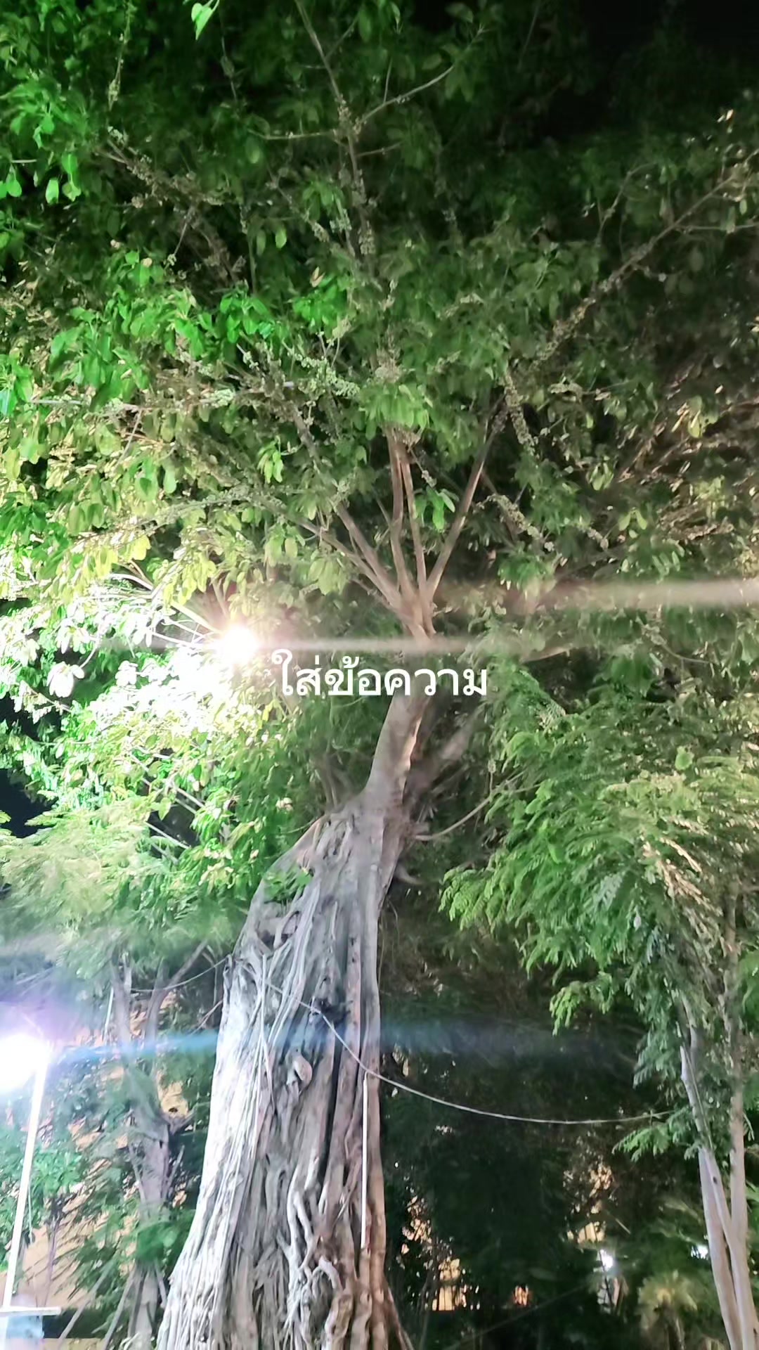 @พี่ต้นน้ำ ไอเรียล พลัส