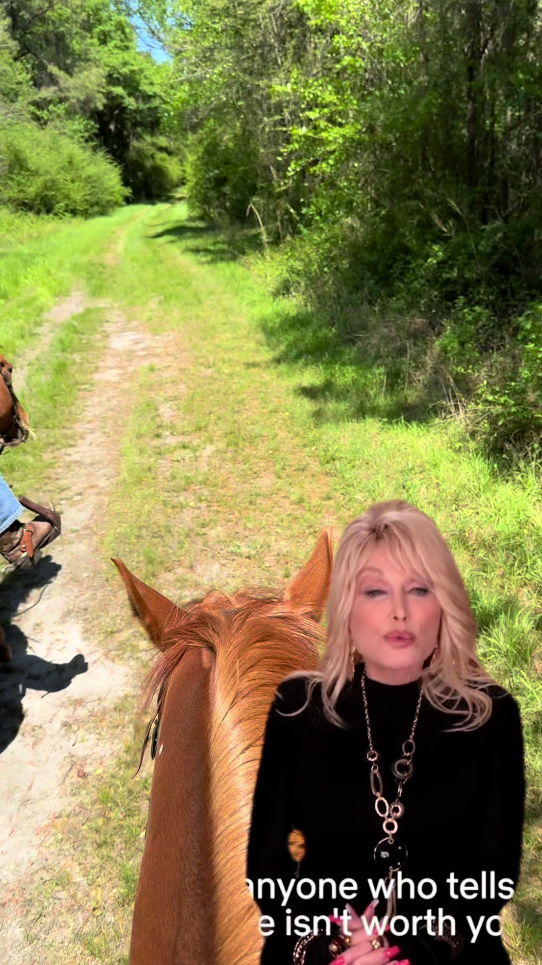 @Horselife