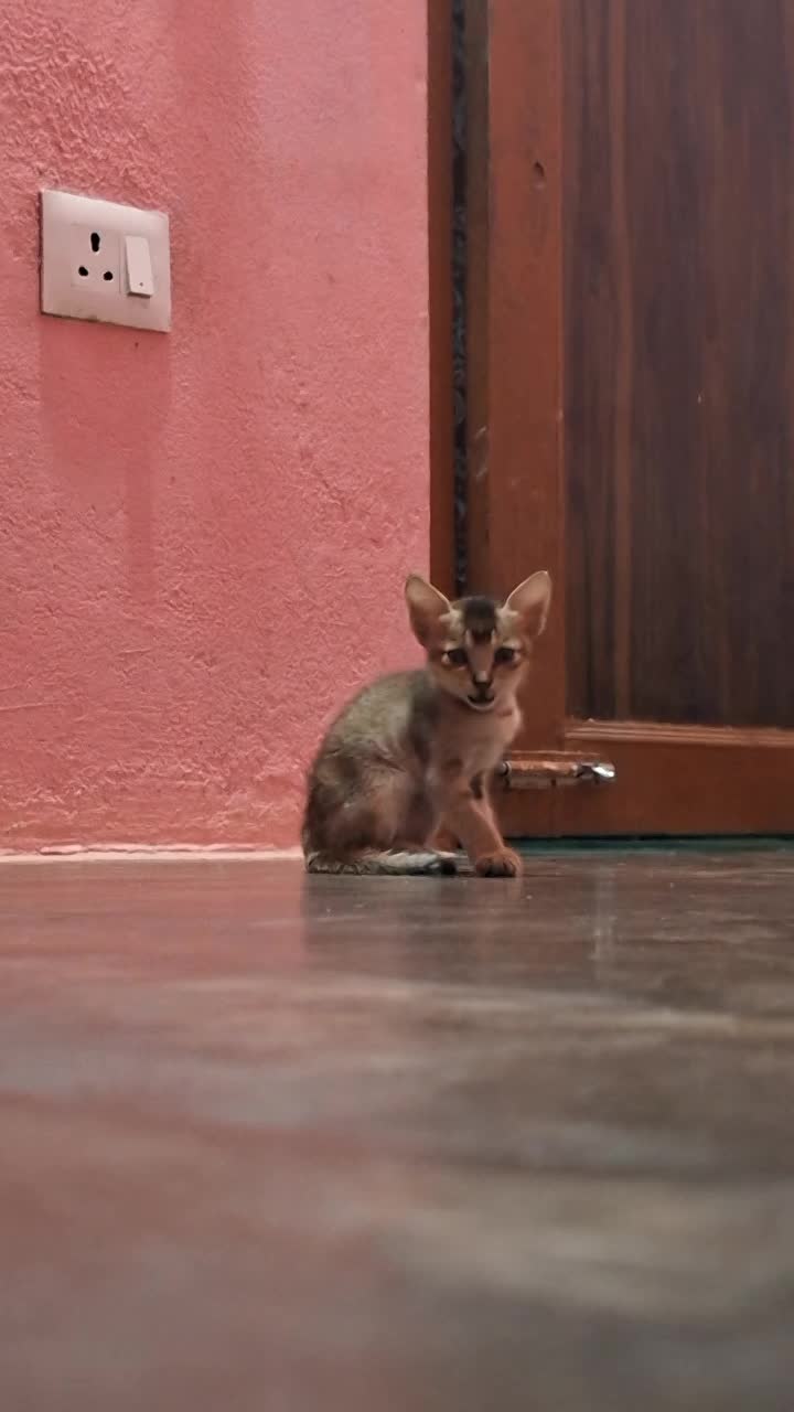 @Santosh Rajak