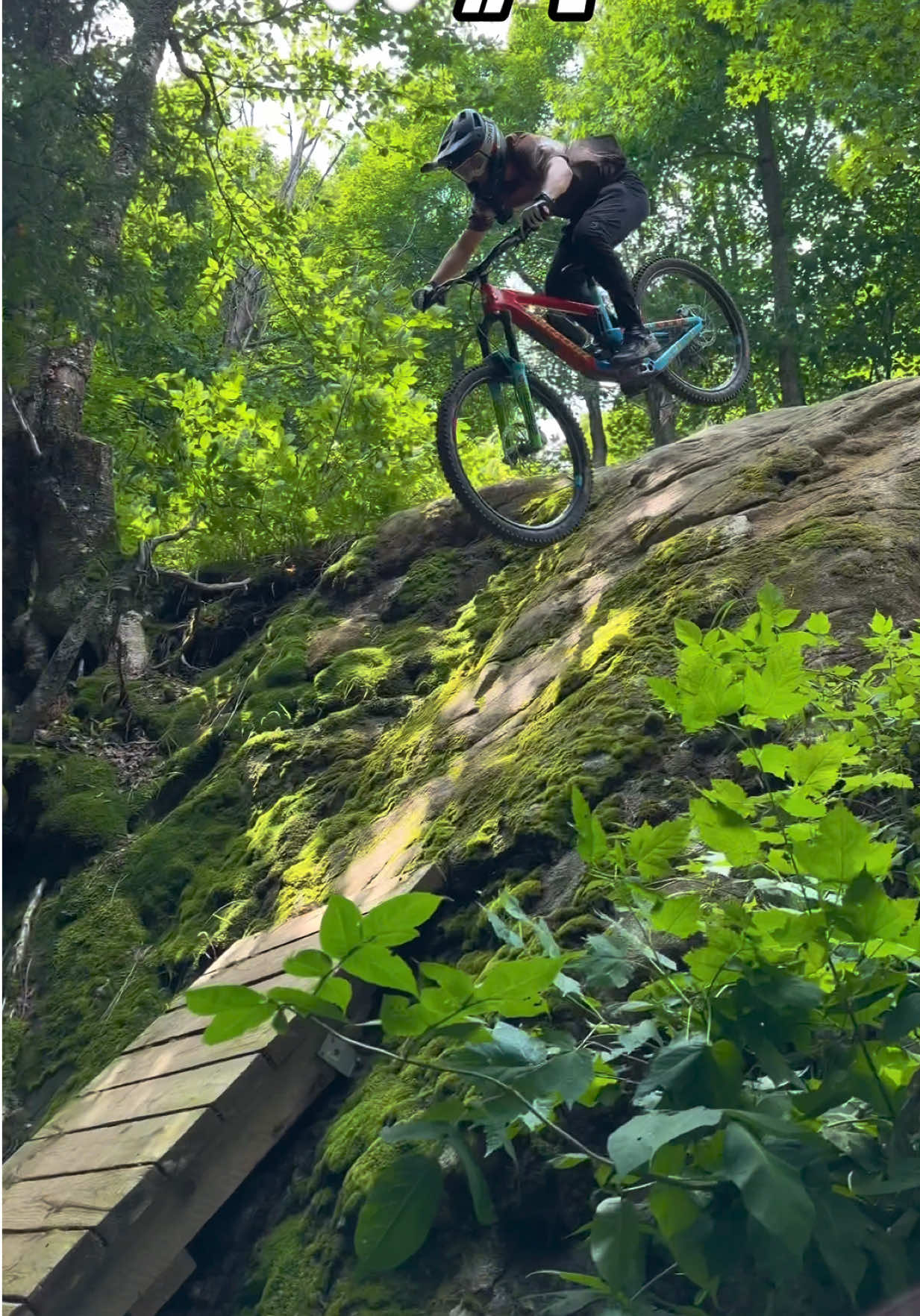 @shawn.querry