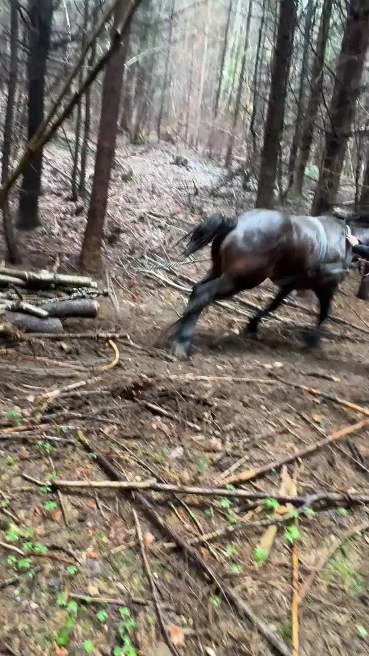 @IoanPetrovan34