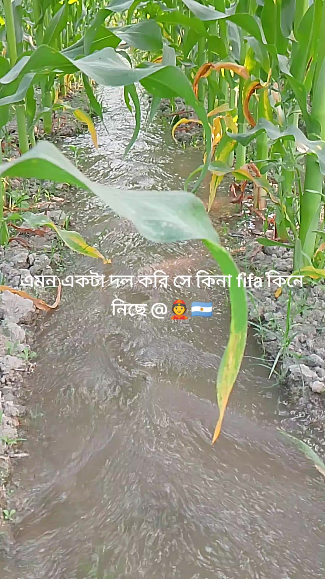@Md.limon islam