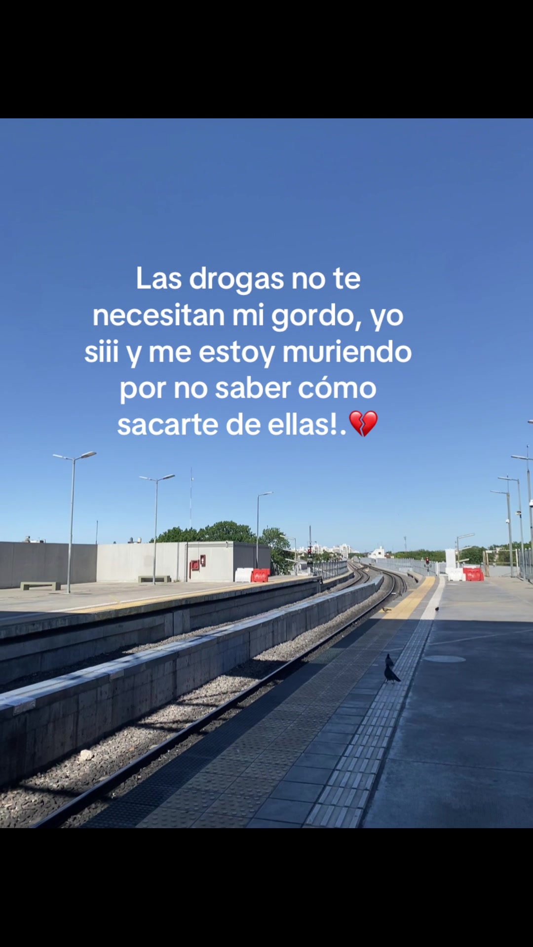 @&bull;Milagros&bull;