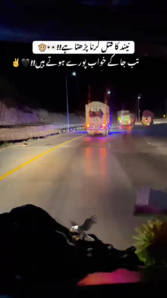 @🤍✨::: لجپال جٹ :::✨🤍