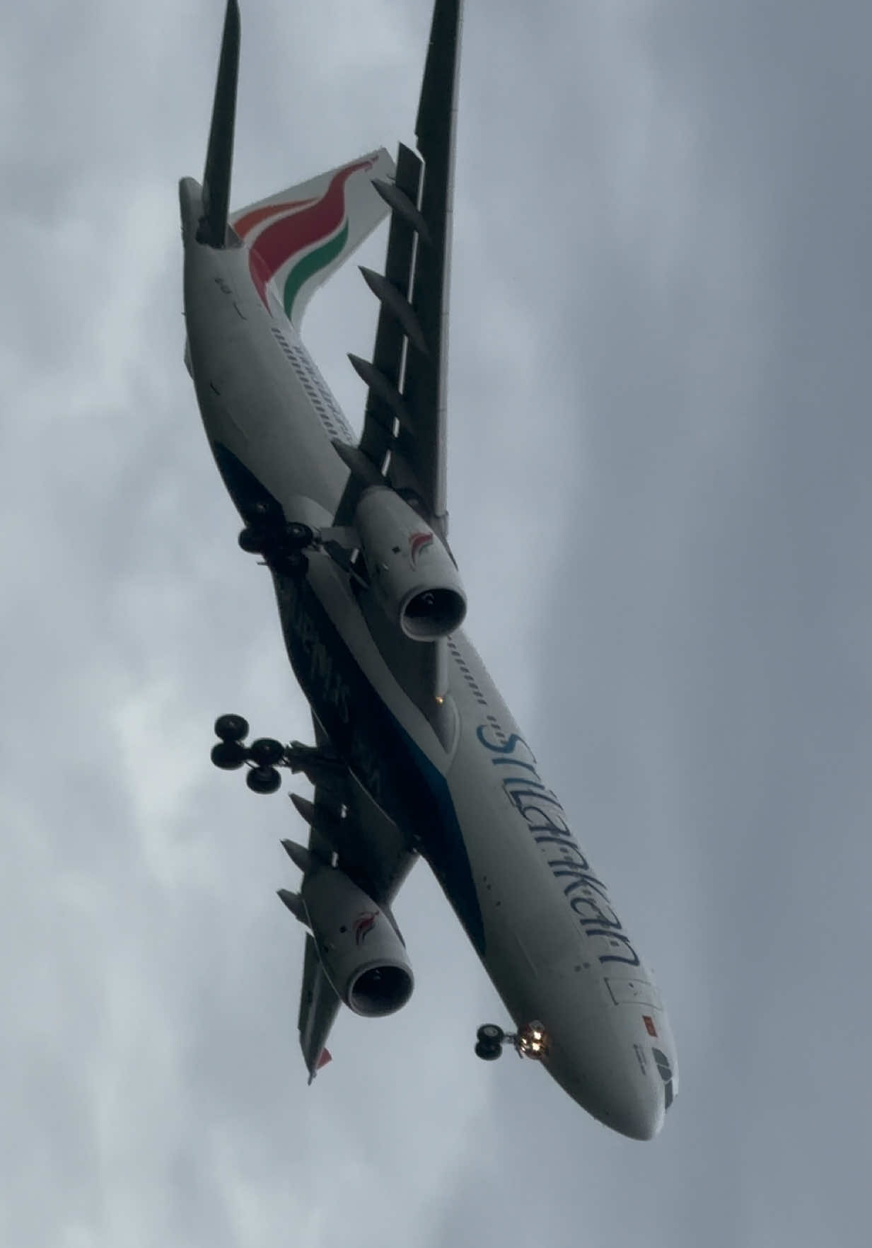 @AvGeek [MJ]
