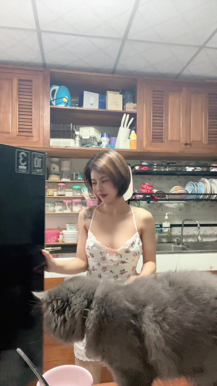 @aom_a_m_