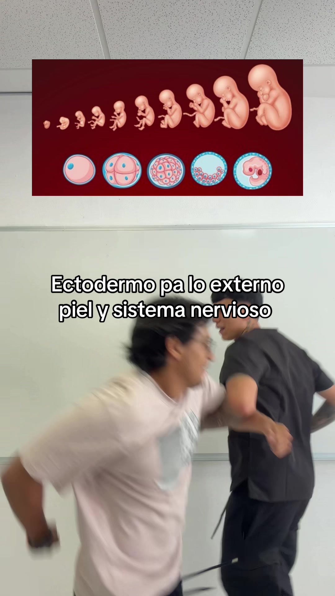 @ENDOBOY
