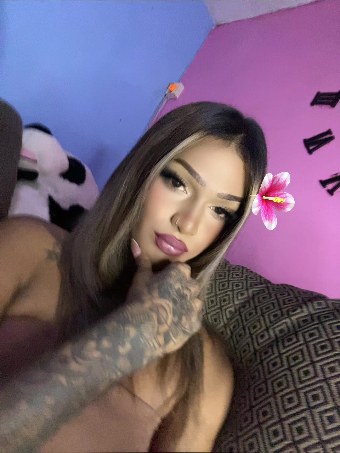 @KISHIKA🦋🦚